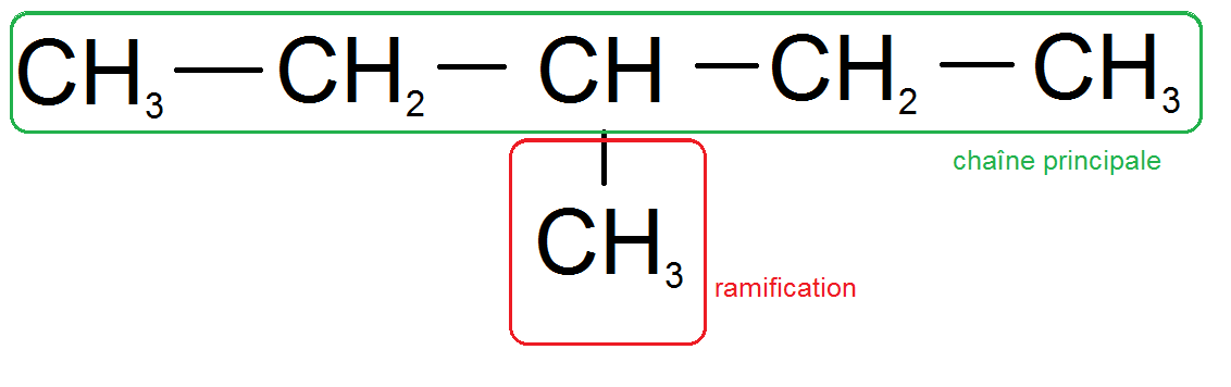 chaîne principale et ramifications