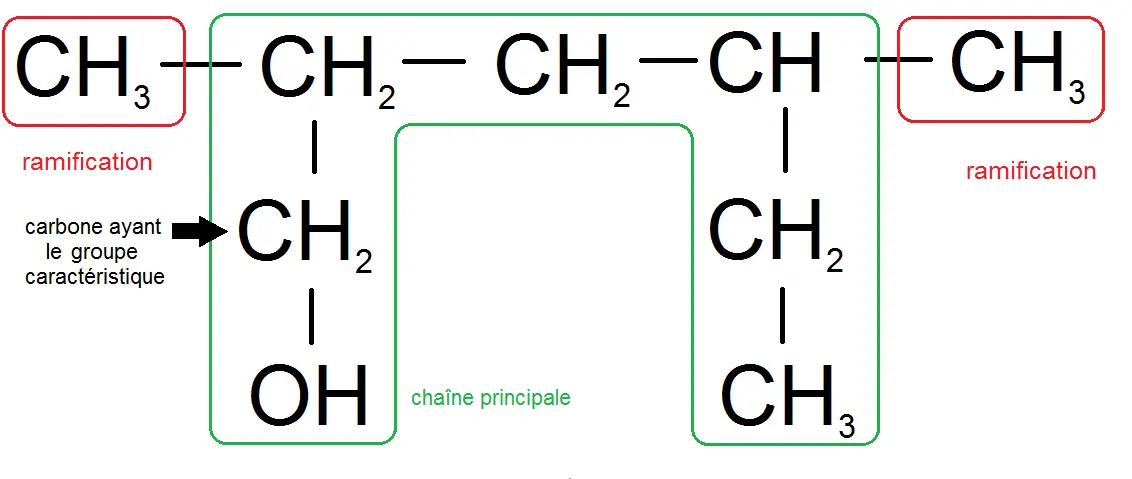 chaîne la plus longue d'une molécule