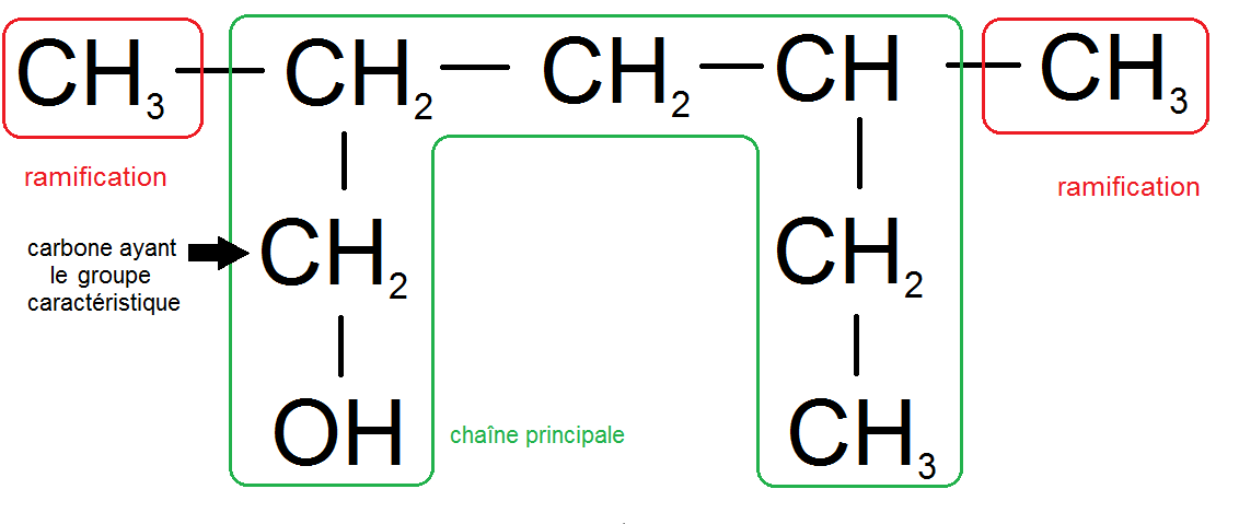 chaîne la plus longue d'une molécule