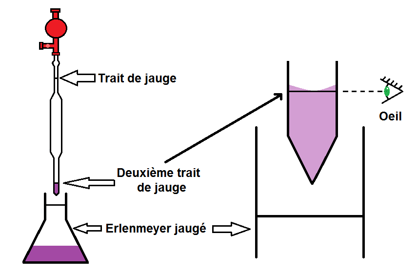 deuxième trait de jauge d'une pipette jaugée