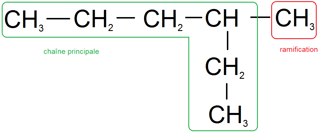 chaîne principale et ramifications