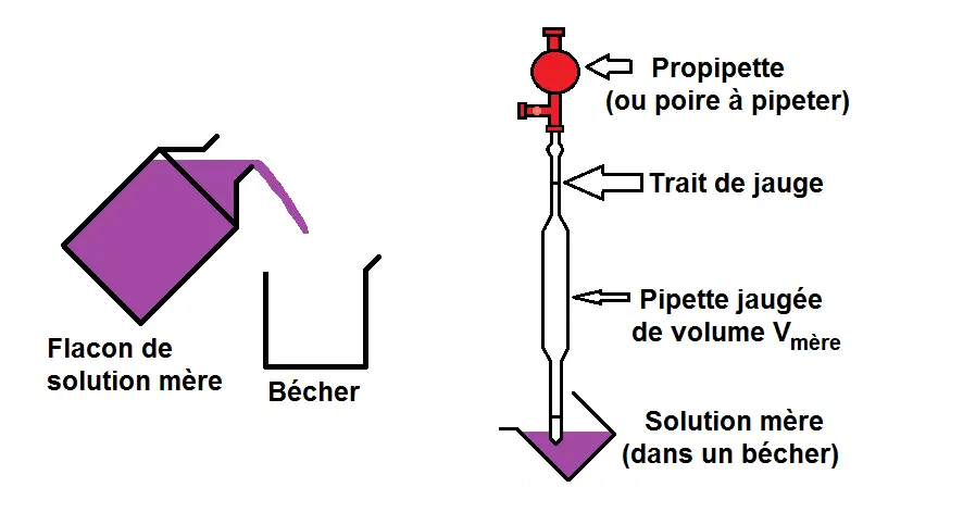 prélèvement d'une solution avec une pipette et une propipette