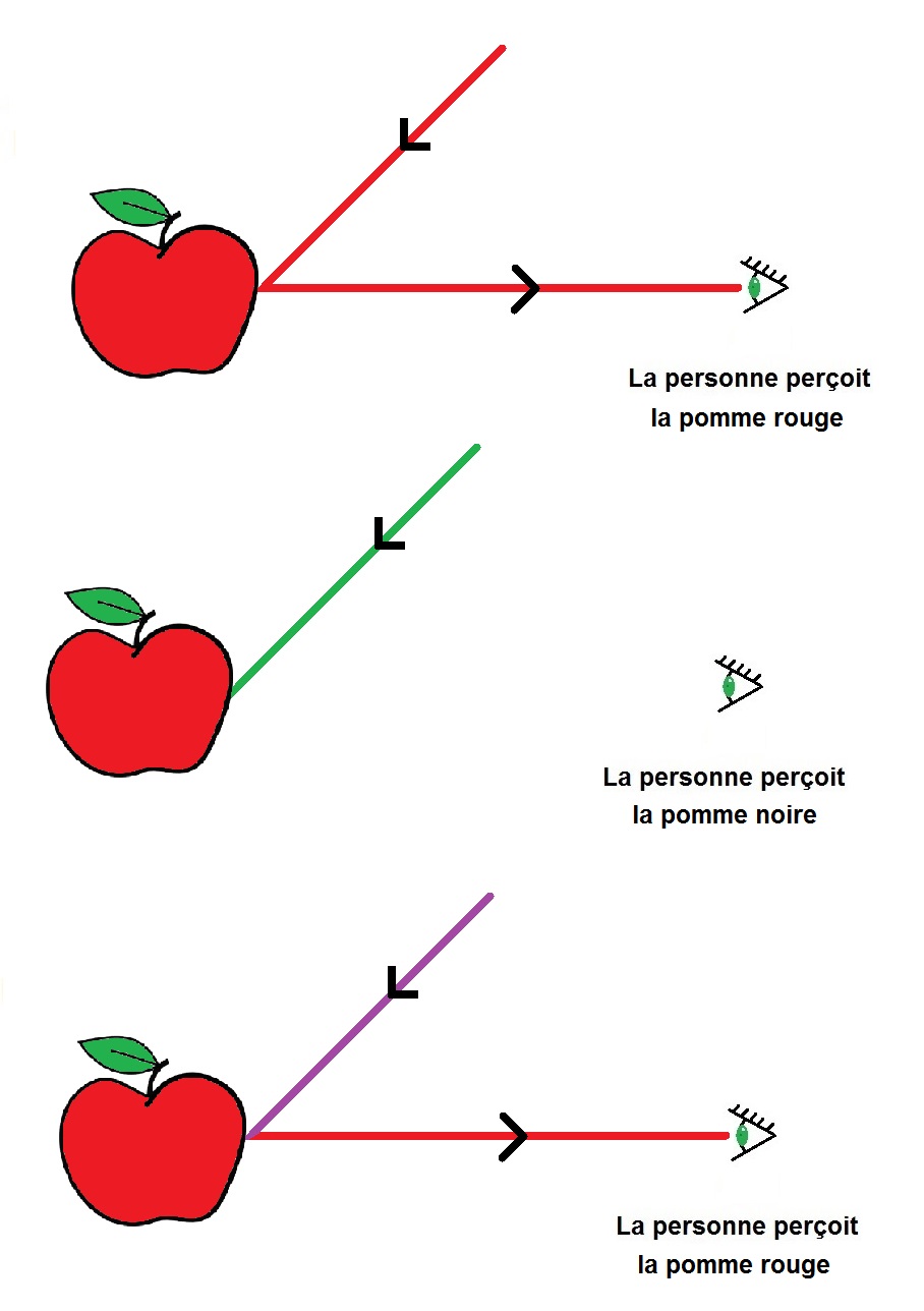 pomme éclairée par différentes lumières