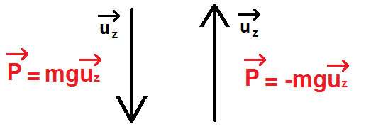 expression du poids suivant le sens de l'axe