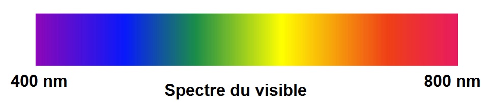 spectre du visible